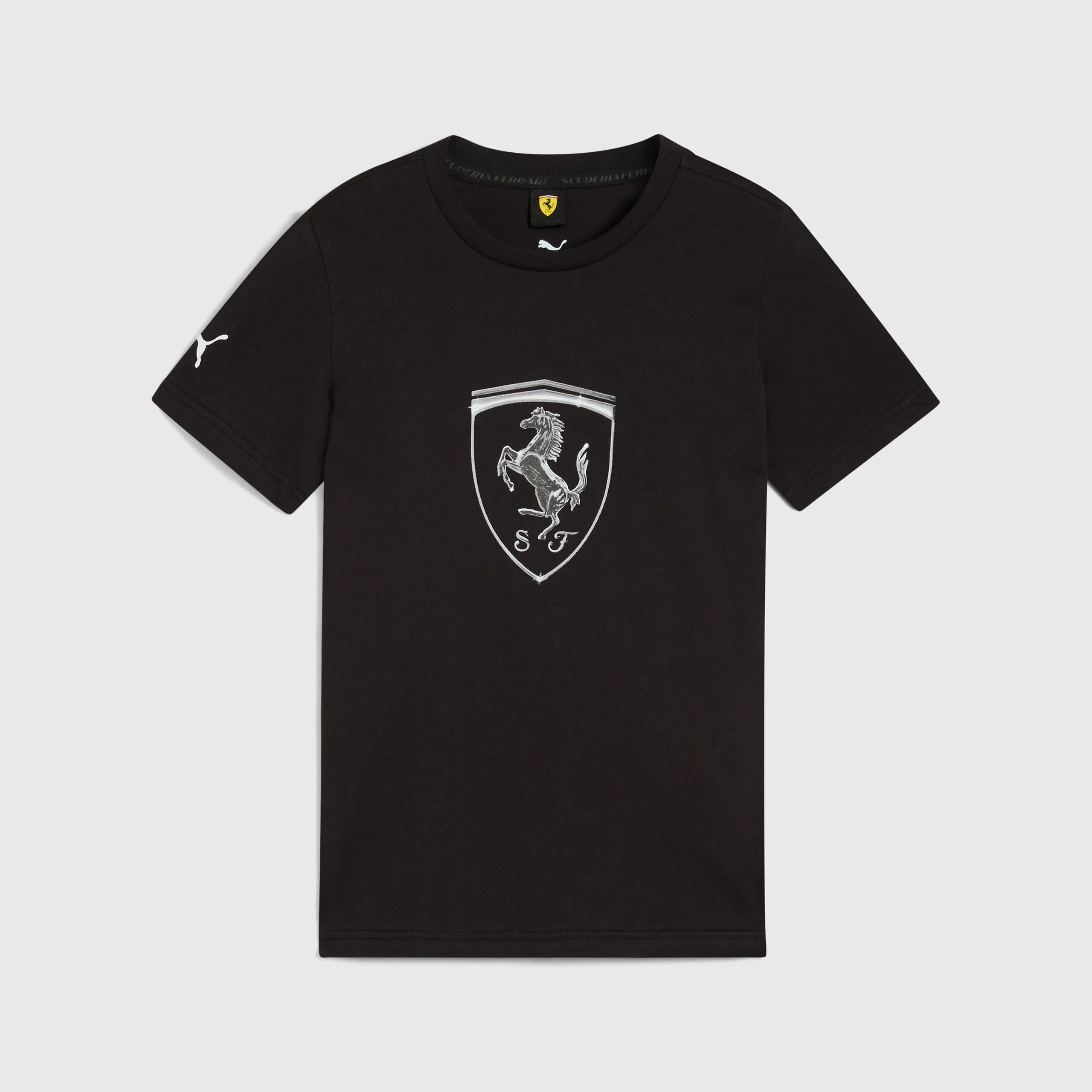 Kids PUMA LS Race Tonal Shield T-shirt
